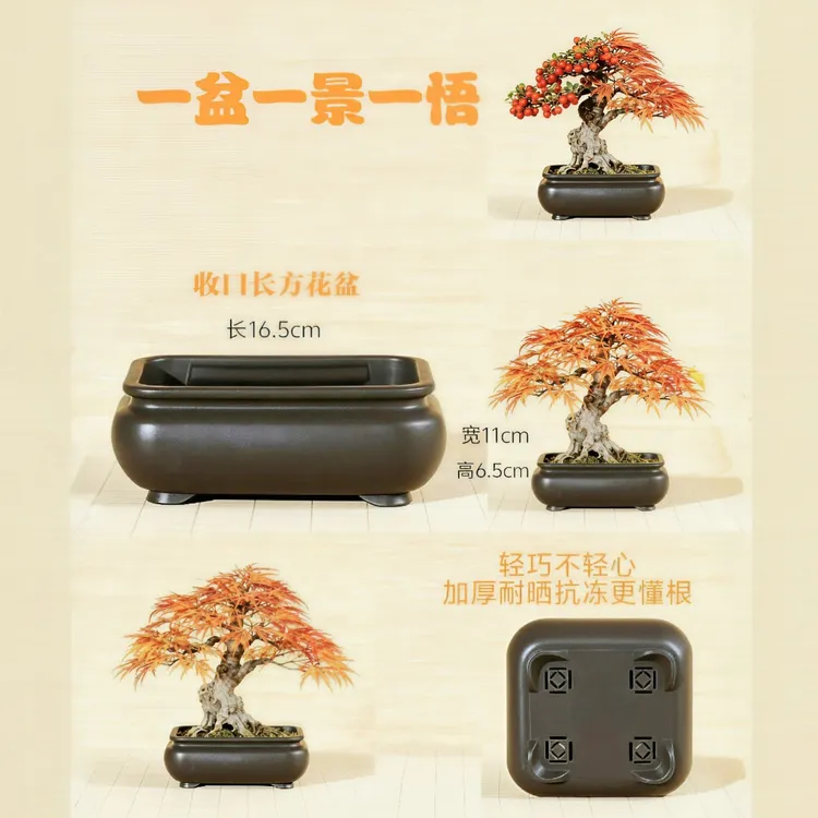 竹子盆景绿植盆栽专用花盆加厚树脂仿紫砂仿古花盆清仓捡漏大号