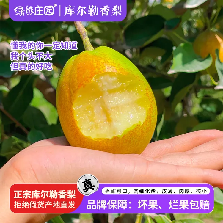 【新疆直发】正宗新疆库尔勒香梨新鲜应季水果香甜皮薄核小汁水足