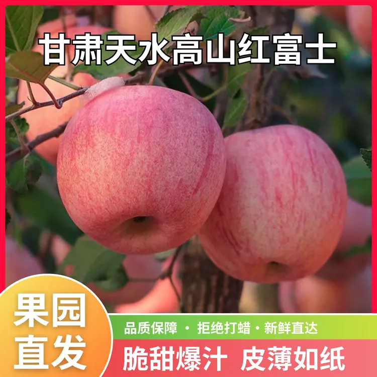 甘肃天水高山红富士苹果新鲜当季脆甜多汁果园直发包邮