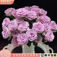 次日达 -【紫霞仙子】10枝紫色玫瑰鲜花鲜切花家居花批发任意两单升级顺丰包邮三单送随机花瓶今天拍明天到cc