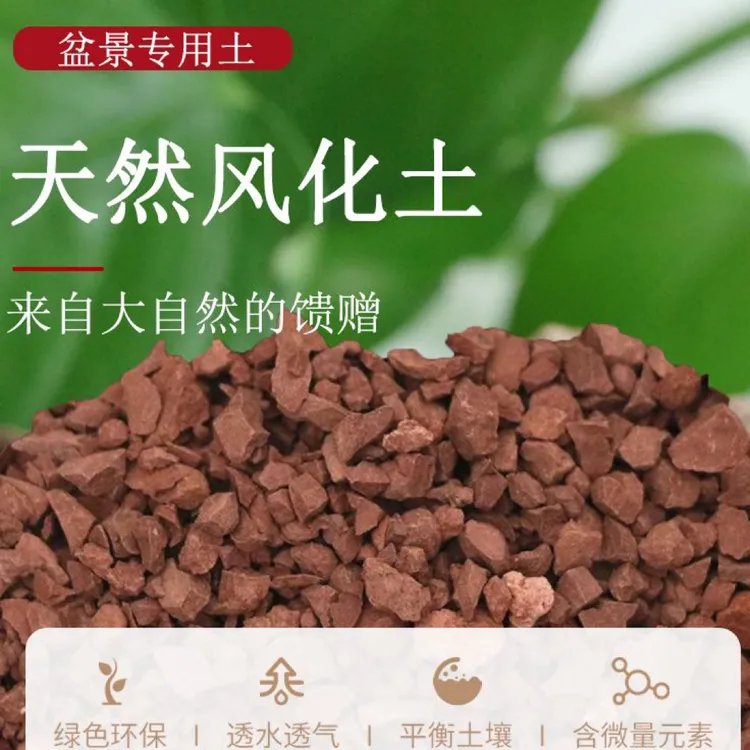 天然风化石适合盆栽金弹子兰科通用基质植料颗粒