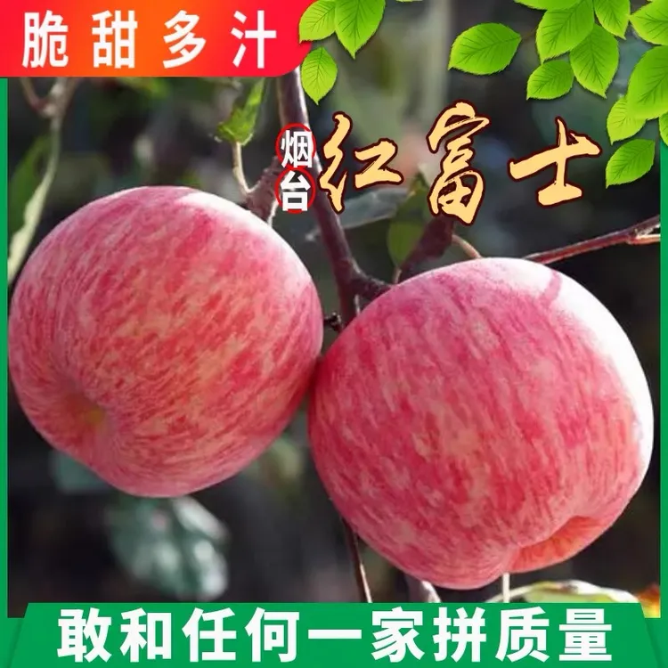 正宗烟台栖霞红富士新鲜脆甜苹果水果山东特产富士苹果整箱包邮