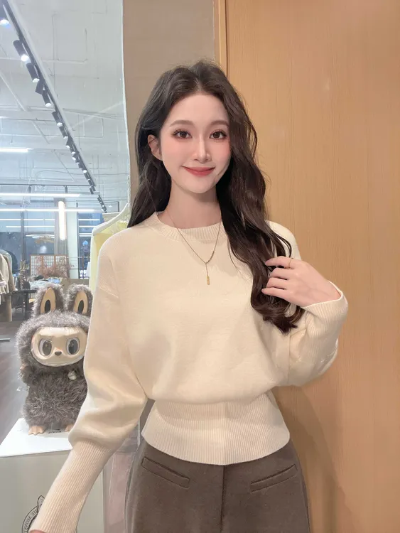 秋冬季毛衣韩系简约修身显瘦新款百搭针织毛衣圆领上衣#3061