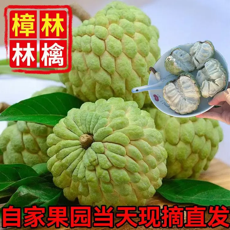 【漳林】潮汕大目现摘新鲜大目释迦果当季热带水果番荔枝佛头果5个