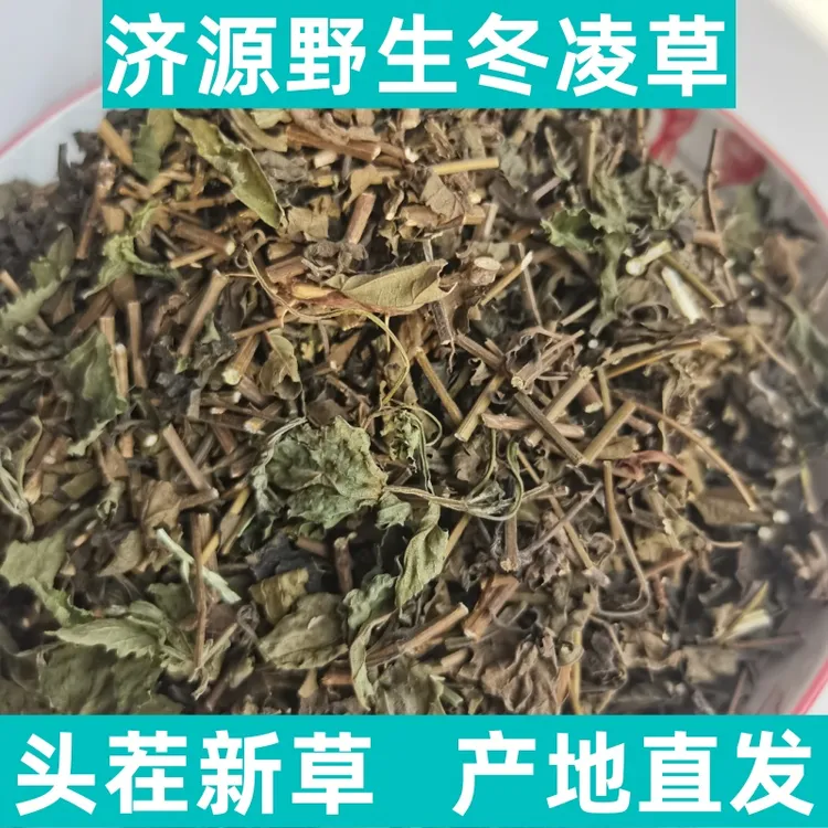 专属济源野生冬凌草王屋山冬凌草茶头茬精选新货中药材冬凌草