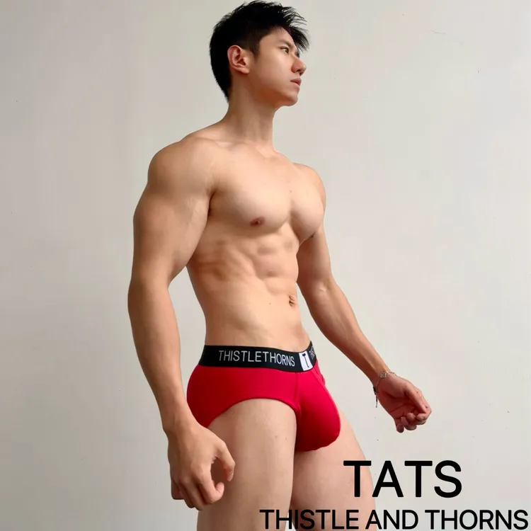 TATS（荆棘制造）新疆棉男士长标透气性感中低腰三角裤内裤