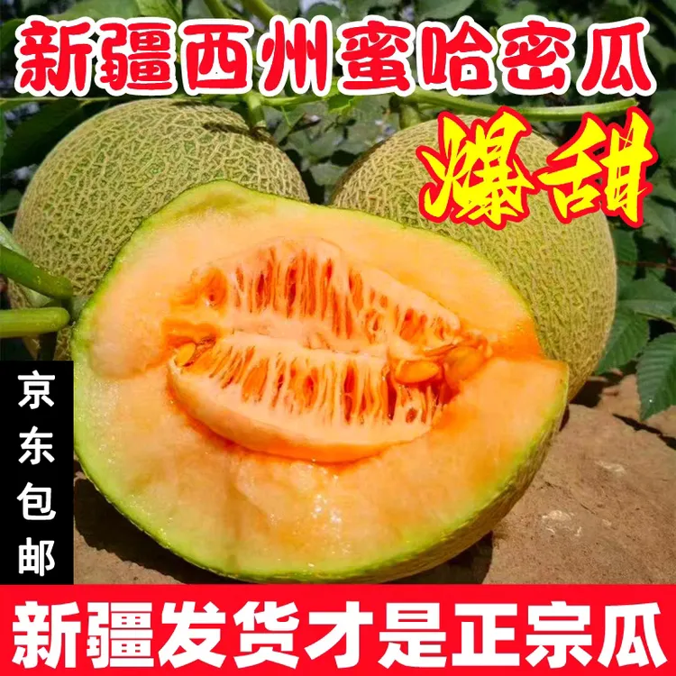 【空运发货】新疆正宗哈密瓜当季水果西州蜜鲜脆甜多汁净重6-7斤