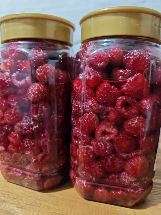 东北大兴安岭树莓速冻果（覆盆子）