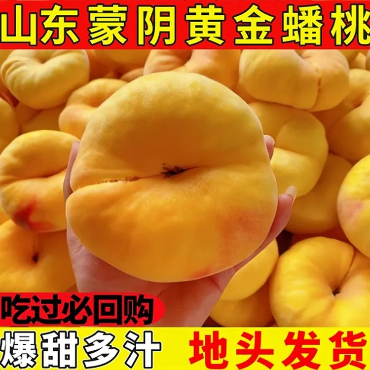 山东蒙阴黄金蟠桃原产地直发现摘现发硬软两吃新鲜采摘