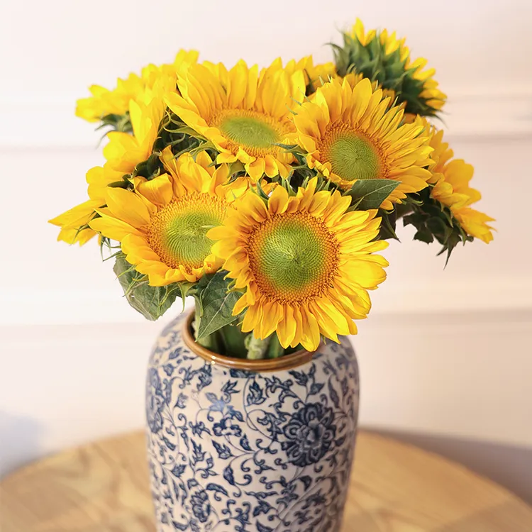 【麒麟花开】绿心向日葵太阳花鲜花云南基地直发毕业季国庆鲜花礼物