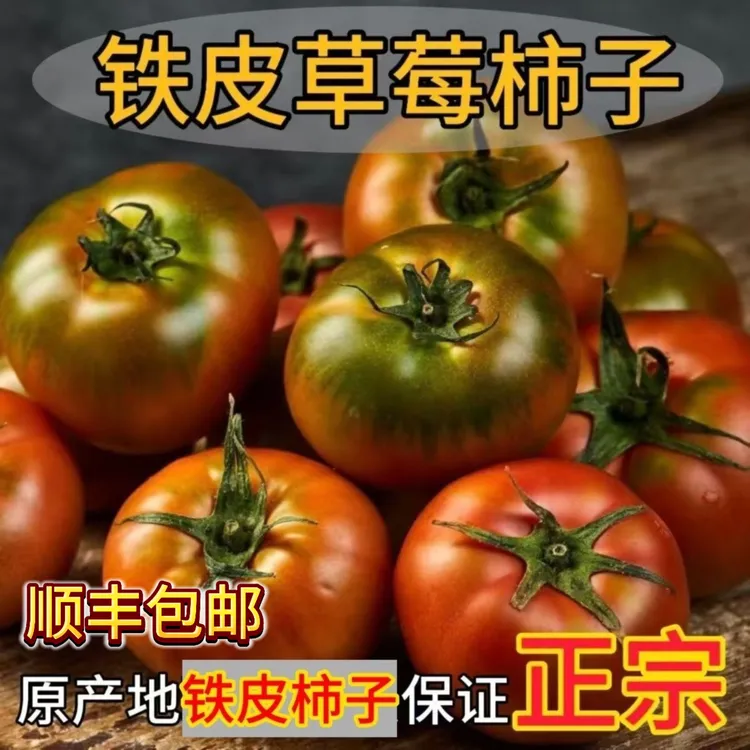 盐碱地草莓西红柿铁皮西红柿铁皮柿子圣女果草莓番茄JD顺丰包邮