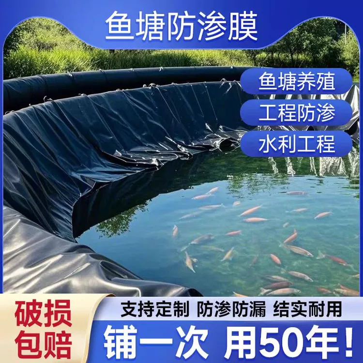 防水多功能抗氧化PE地膜黑色土工布沼气池鱼塘蓄水防渗HDPE塑料棚