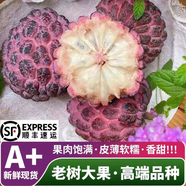 海南玫瑰释迦果当季热带孕妇水果新鲜采摘高端水果