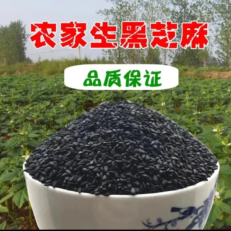 25新精选生黑芝麻白芝麻农家新货特产干净新鲜饱满无沙无染色