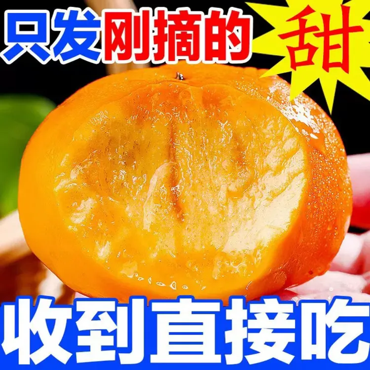 新鲜巧克力脆柿子新鲜当季水果现摘阳丰脆柿子硬柿子时令甜柿子