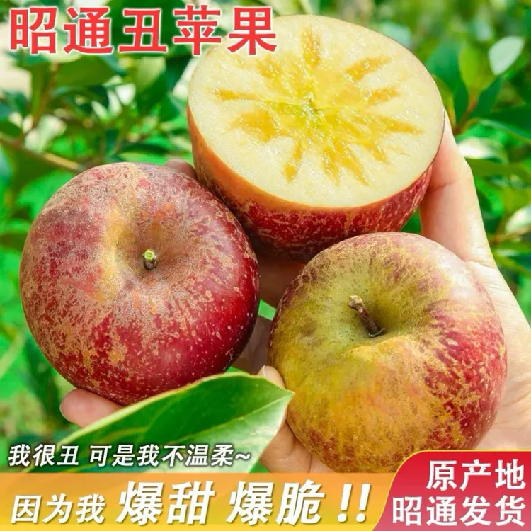 云南苹果昭通冰糖心苹果产地直发新鲜脆甜水果产地直发净重5斤