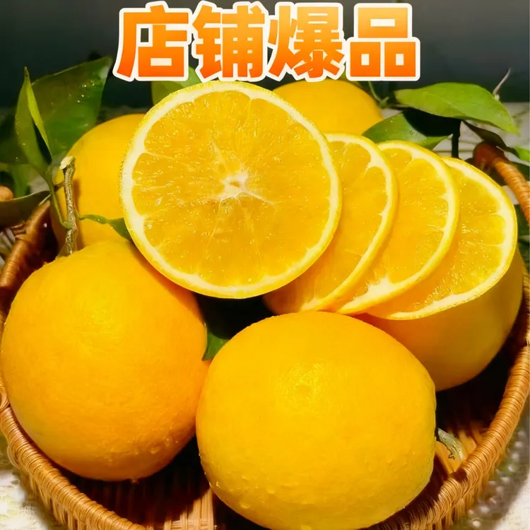 【包邮到家】特产葡萄现摘信丰脐橙70-89mm（精品果）水果橙子