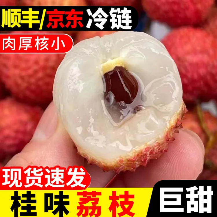 广东桂味荔枝小核品种荔枝茂名荔枝2025鲜果上市