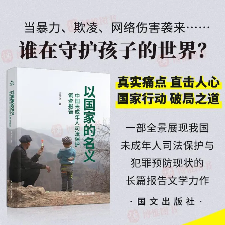 现货 以国家的名义：中国未成年人司法保护调查报告 梁庆才著国文