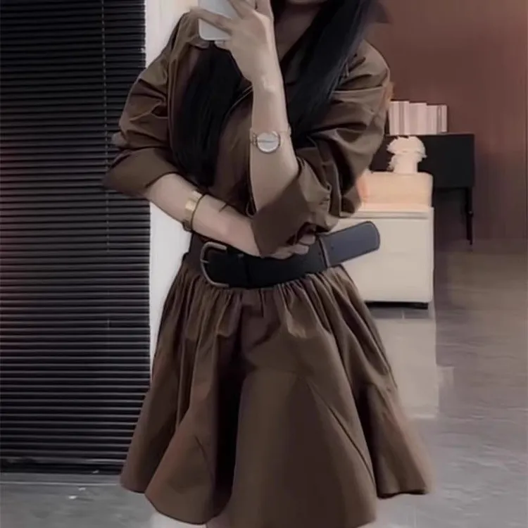 简约百搭衬衫裙女欧货2025秋季新款收腰显瘦高级感洋气净版连衣裙