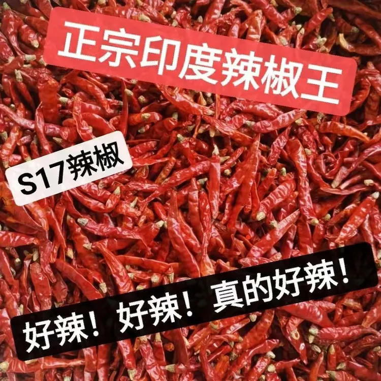 新货特辣印度魔鬼辣s17