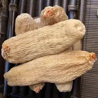 云南昭通高含量小草坝乌天麻 农户直销（已开价）
