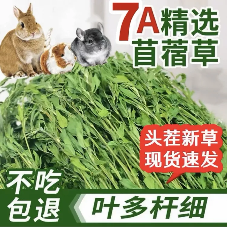 25年烘干紫花苜蓿草干草小兔子草豚鼠荷兰猪饲料幼兔提摩西草牧草