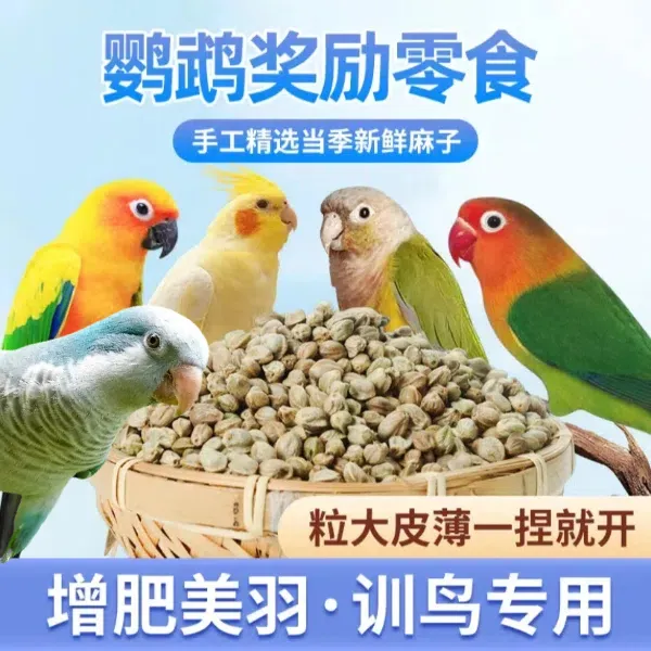 甘肃纸壳麻子玄凤牡丹小太阳和尚鹦鹉训练小奖励增肥鹦鹉鹦鹉食粮