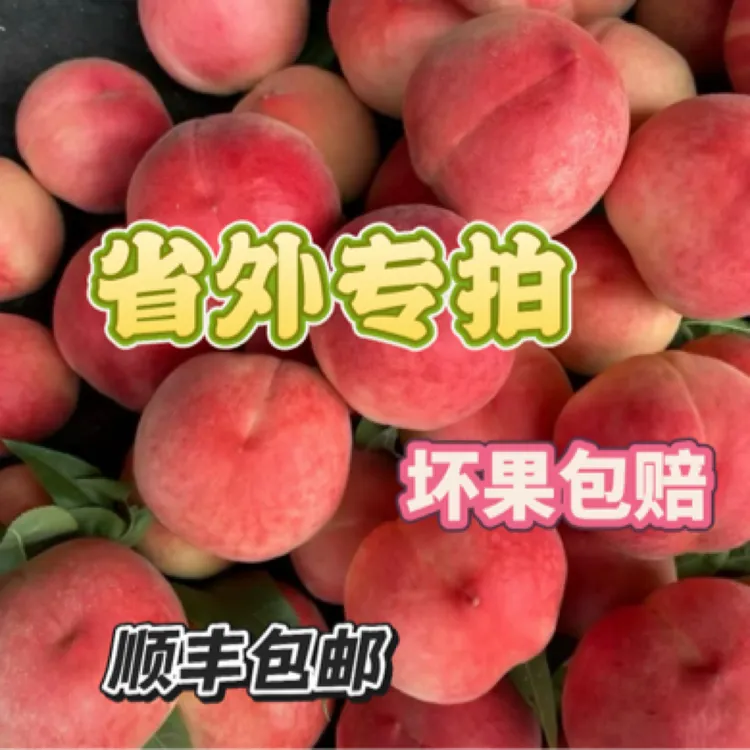 北京7号水蜜桃暴甜多汁！自家果园每天只能售十单（省外拍）