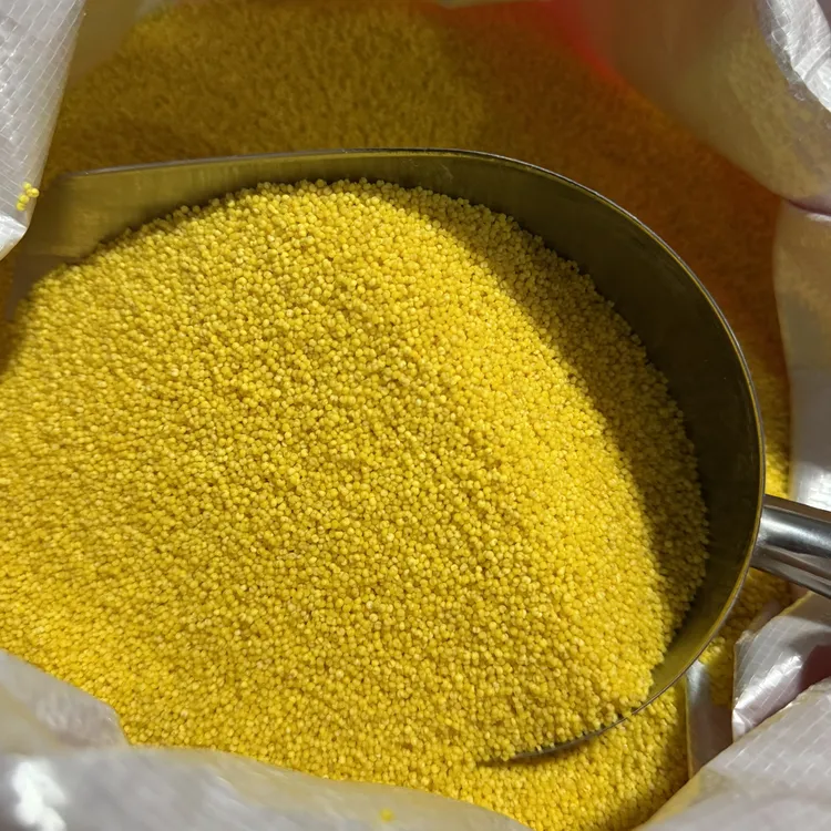 金年新黄小米好喝