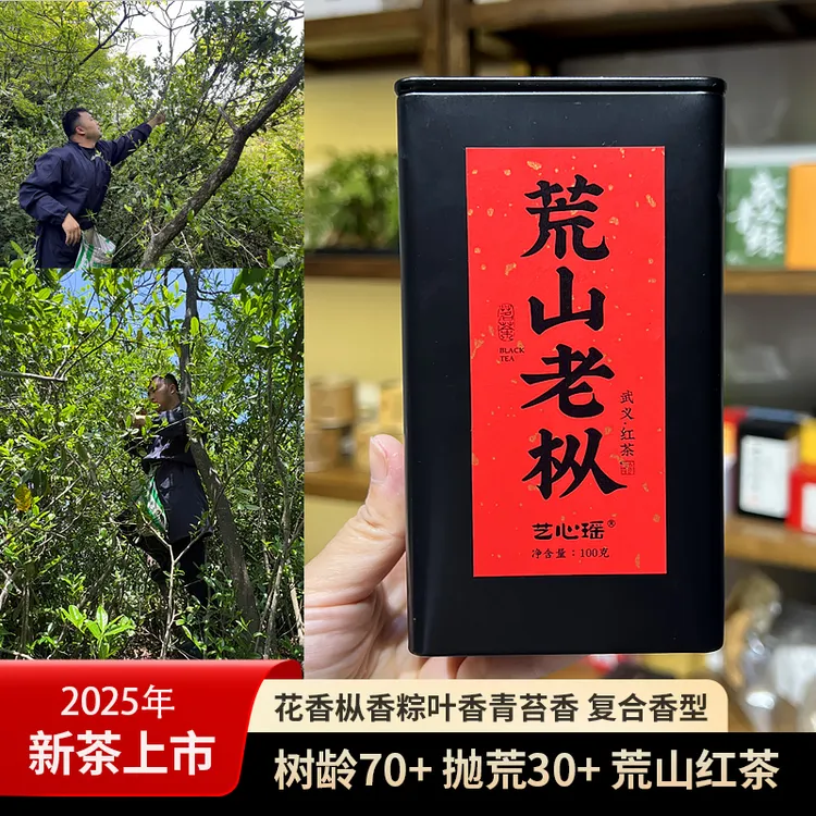 2025荒山老枞红茶 花香枞香粽叶香 有凉感 滑润甘甜 菜茶群体种