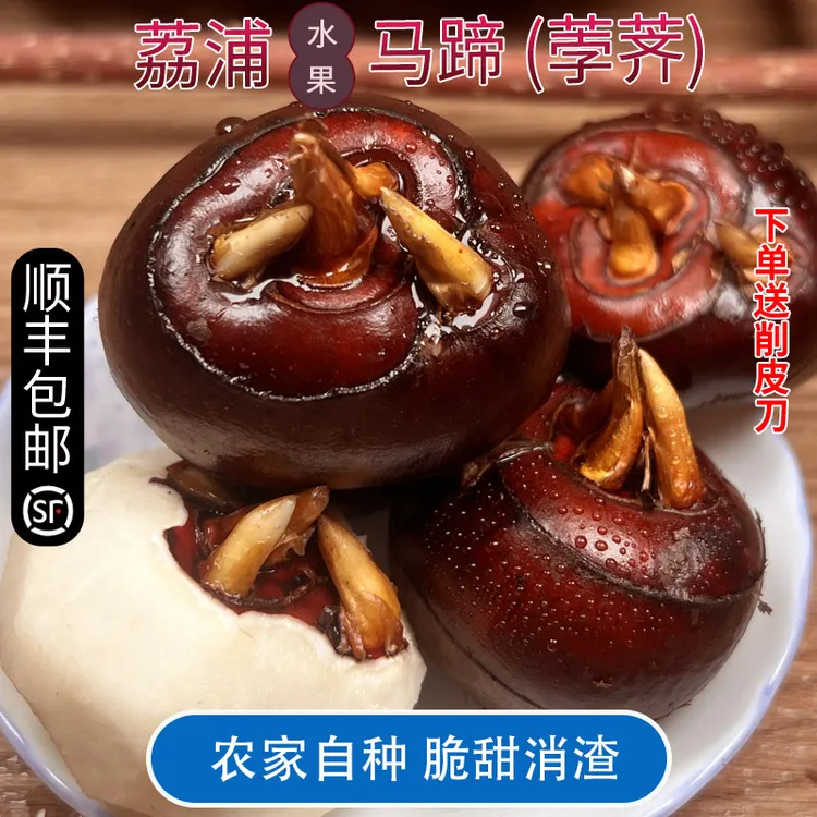 【顺丰包邮下单送削皮刀】荔浦新鲜马蹄荸荠脆甜多汁水果马蹄3斤5斤