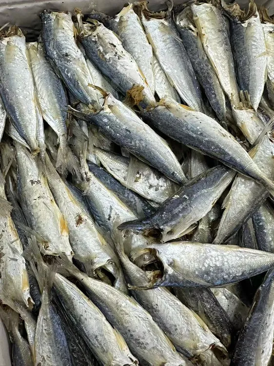 福建巴浪鱼干干货特产海鲜