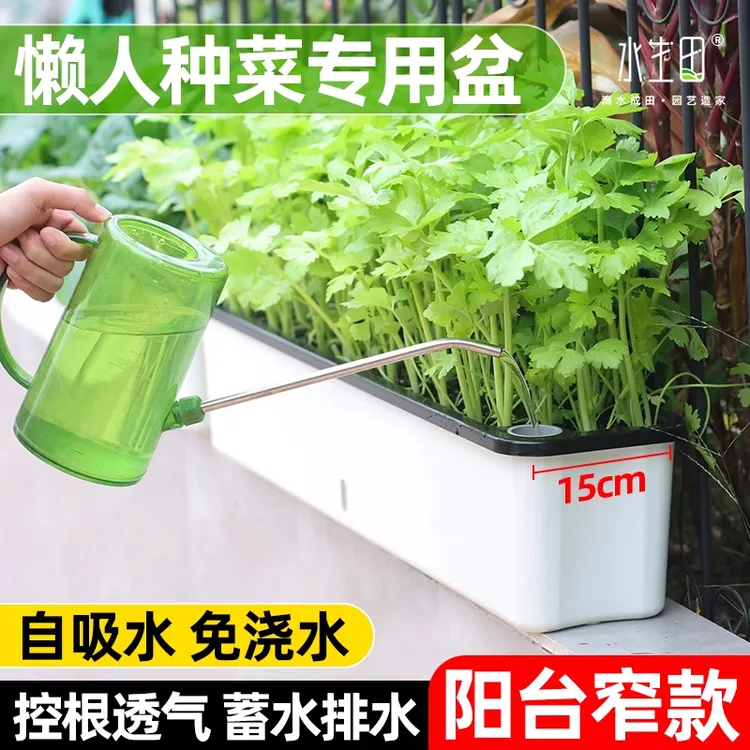 懒人种菜盆自吸水种菜室内阳台专用家用种植花盆塑料长方形蔬菜盆