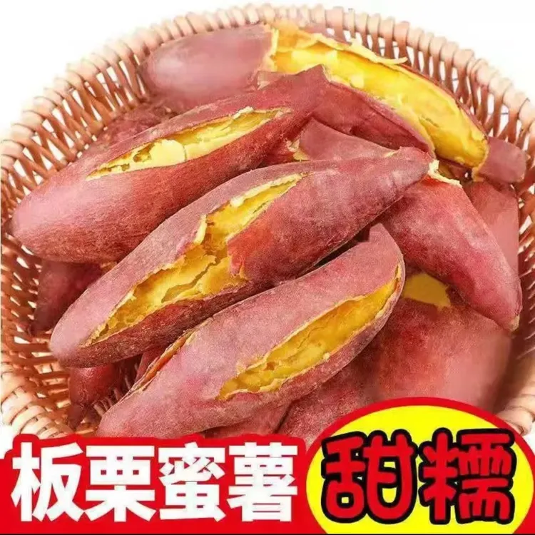 陕西新鲜现挖板栗红薯张维伊回应恶评蜜薯王健林