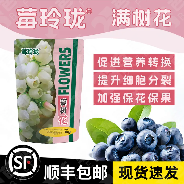 蓝小丫促进蓝莓早开花花大花饱满促花稳果让小花花中量元素水溶肥