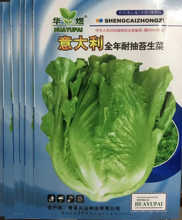 意大利罗马生菜种子耐热甜脆可生吃工厂自营蔬菜种子（拍2送1）