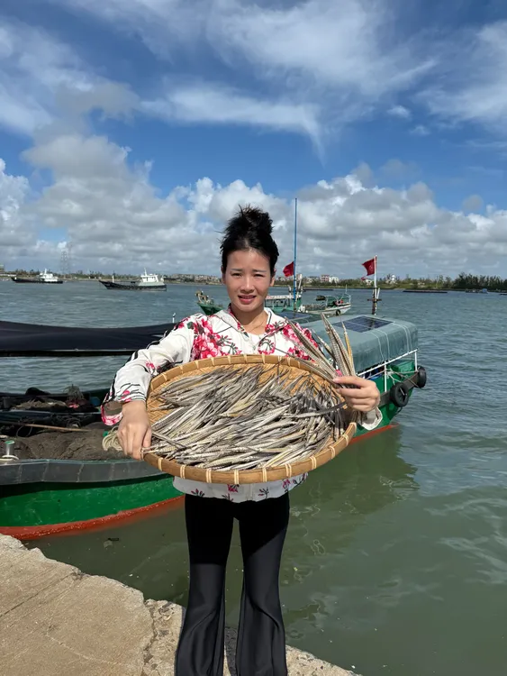 湛江 六角海龙干
