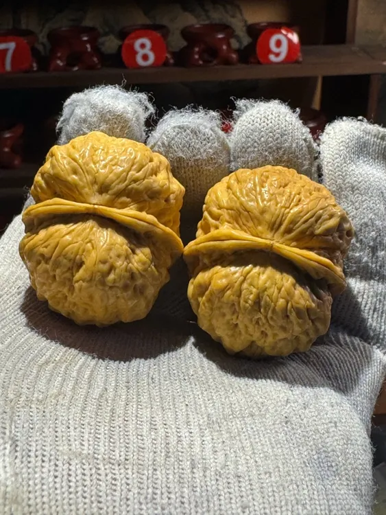 云南铁核桃手把件滚龙纹