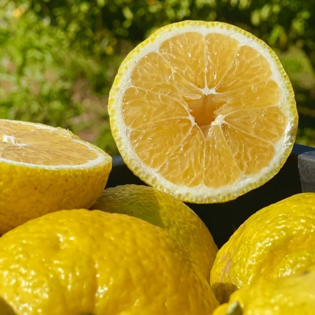 湖南正宗黄金贡柚象山青柑橘清甜无酸富硒高VC甜桔柚岩垅产地发货