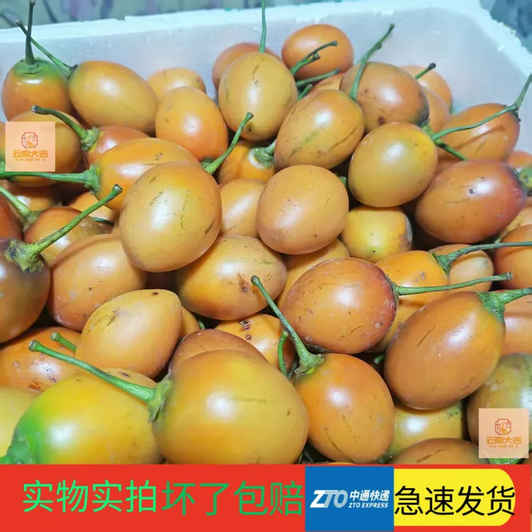 树番茄云南大树番茄洋蒜酸茄酸汤火锅调料傣味佐料云南树番茄