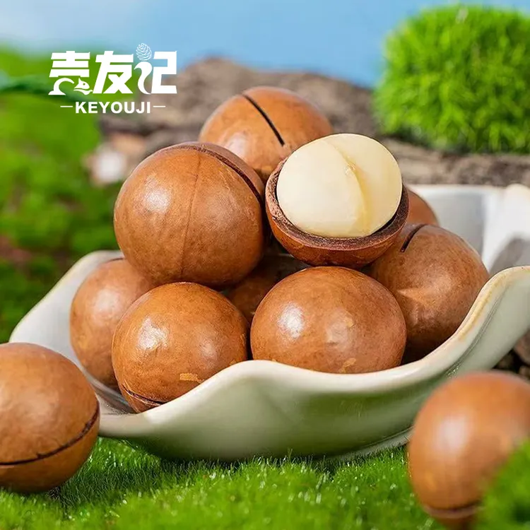 壳友记【达人专属】500g/罐 奶香味 22-25大颗粒 夏威夷果 