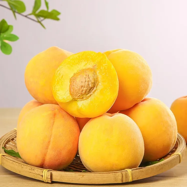 【展卉】砀山锦绣黄桃毛桃3-4.5斤单果150g+顺丰包邮新鲜水果