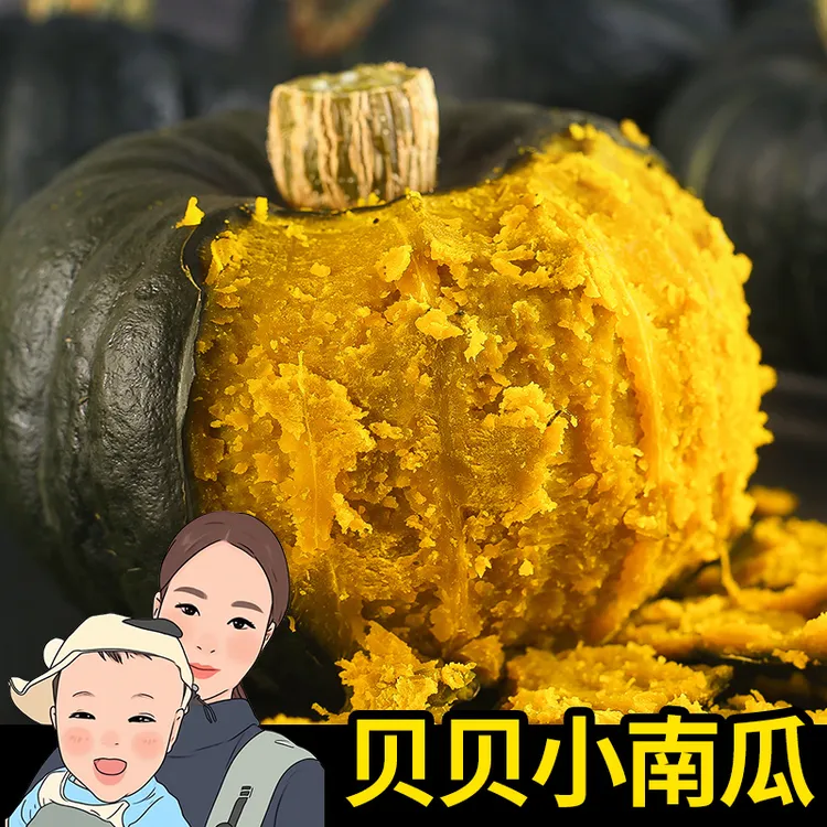 【米姐外家团】粉糯贝贝南瓜4.5斤板栗味婴儿辅食包邮