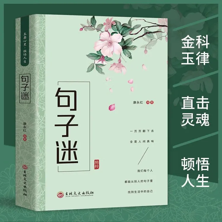 句子迷书正版名言佳句人生答疑励志书籍优美句子作文写作素材书籍