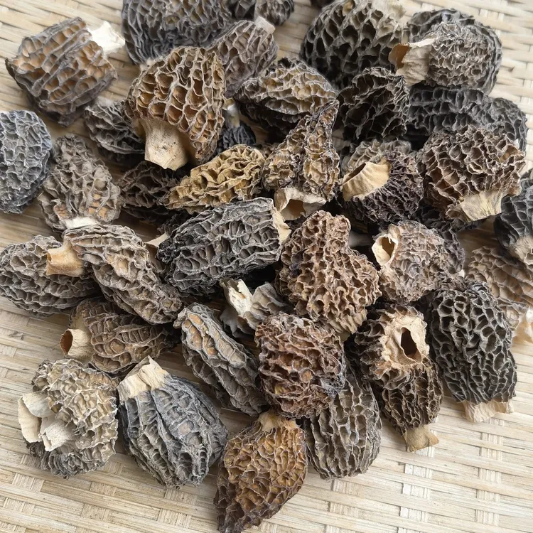 云南土特产阿红臻选～小草莓羊肚菌～煲汤佳品