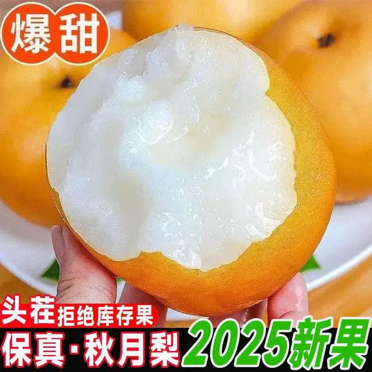 正宗秋月梨新鲜应季水果薄皮化渣爆甜多汁