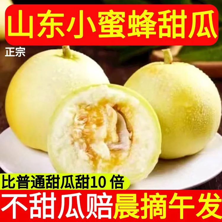 山东小蜜蜂甜瓜甘甜多汁产地直发新鲜采摘蜜罐水果农产品京东包邮