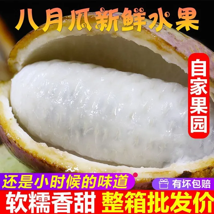 【软糯香甜】福建8月瓜现摘软糯香甜野生水果1-5斤装产地直发营养