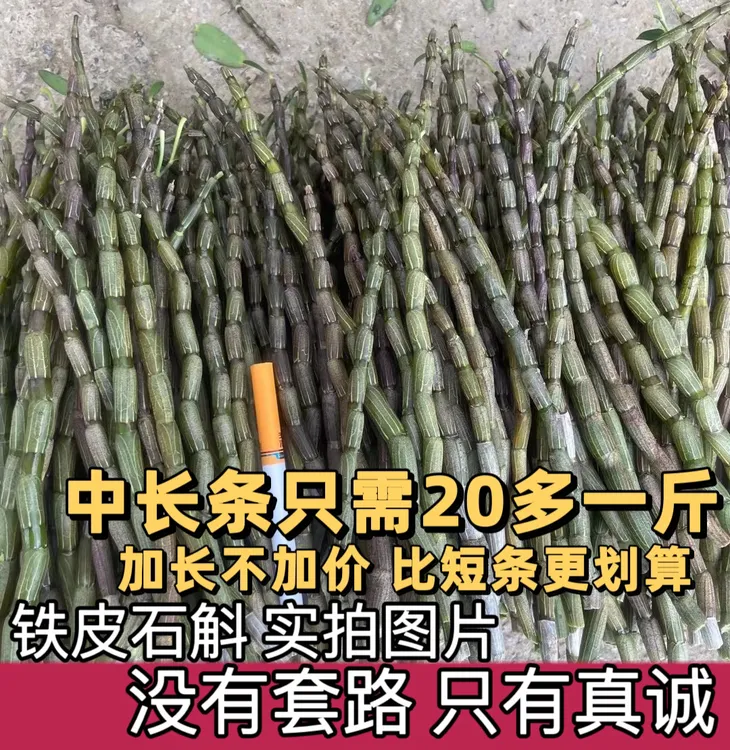 五年生长铁皮石斛500克一斤 新鲜现剪正品鲜铁皮石斛煲汤榨汁首选